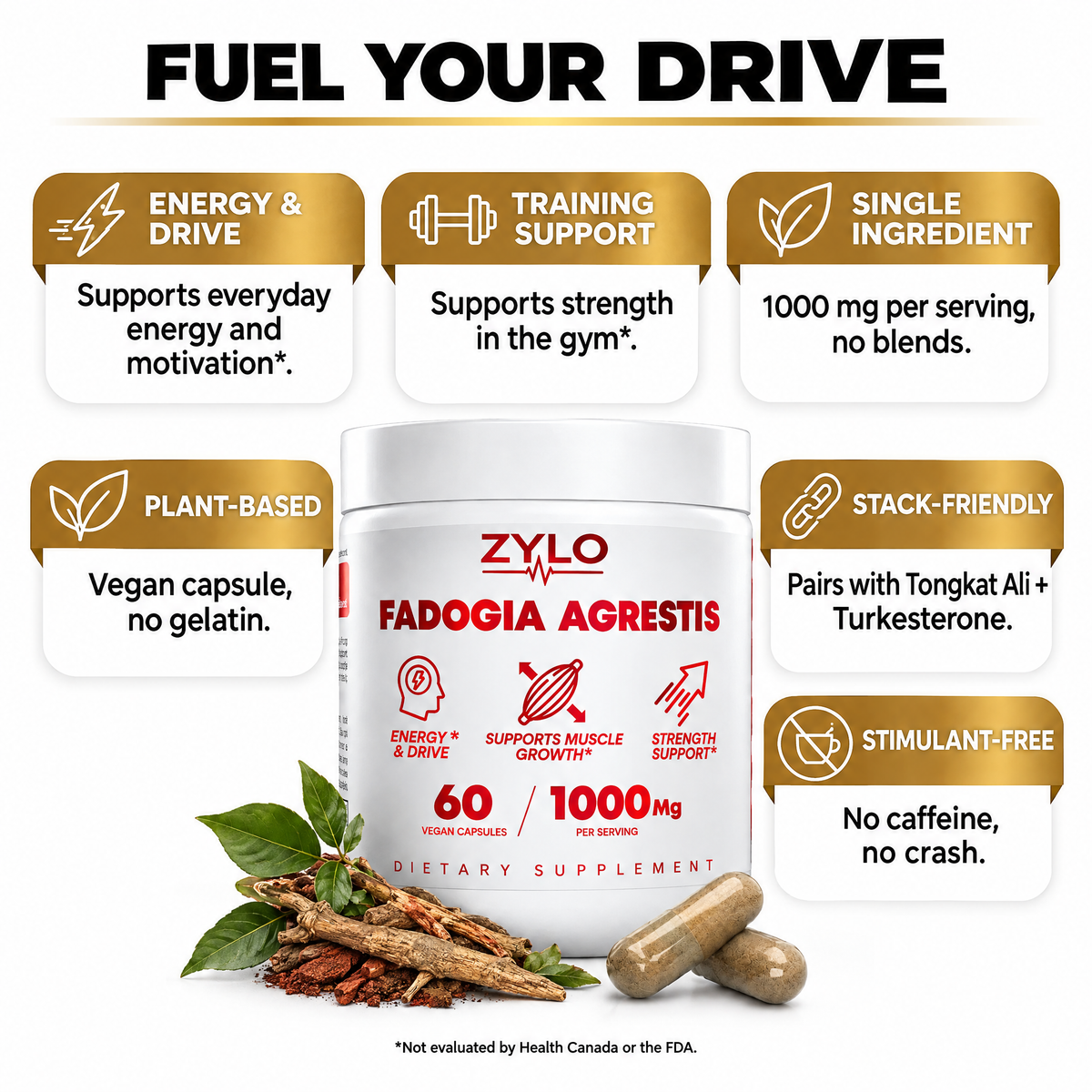 ZYLO Fadogia Agrestis benefits