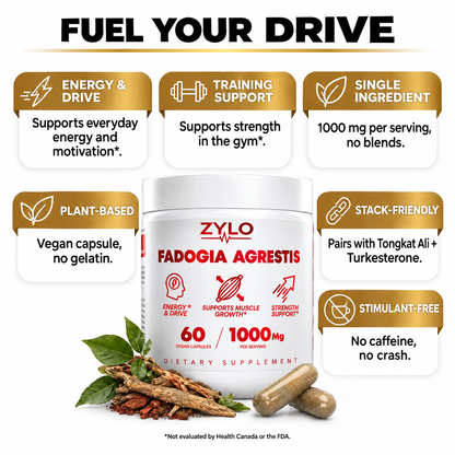 ZYLO Fadogia Agrestis benefits