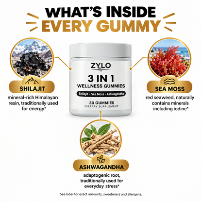 What's inside ZYLO 3-in-1 gummies